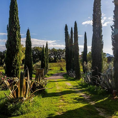 Agriturismo Bio Fattoria Casetta Gavorrano Eksteriør billede