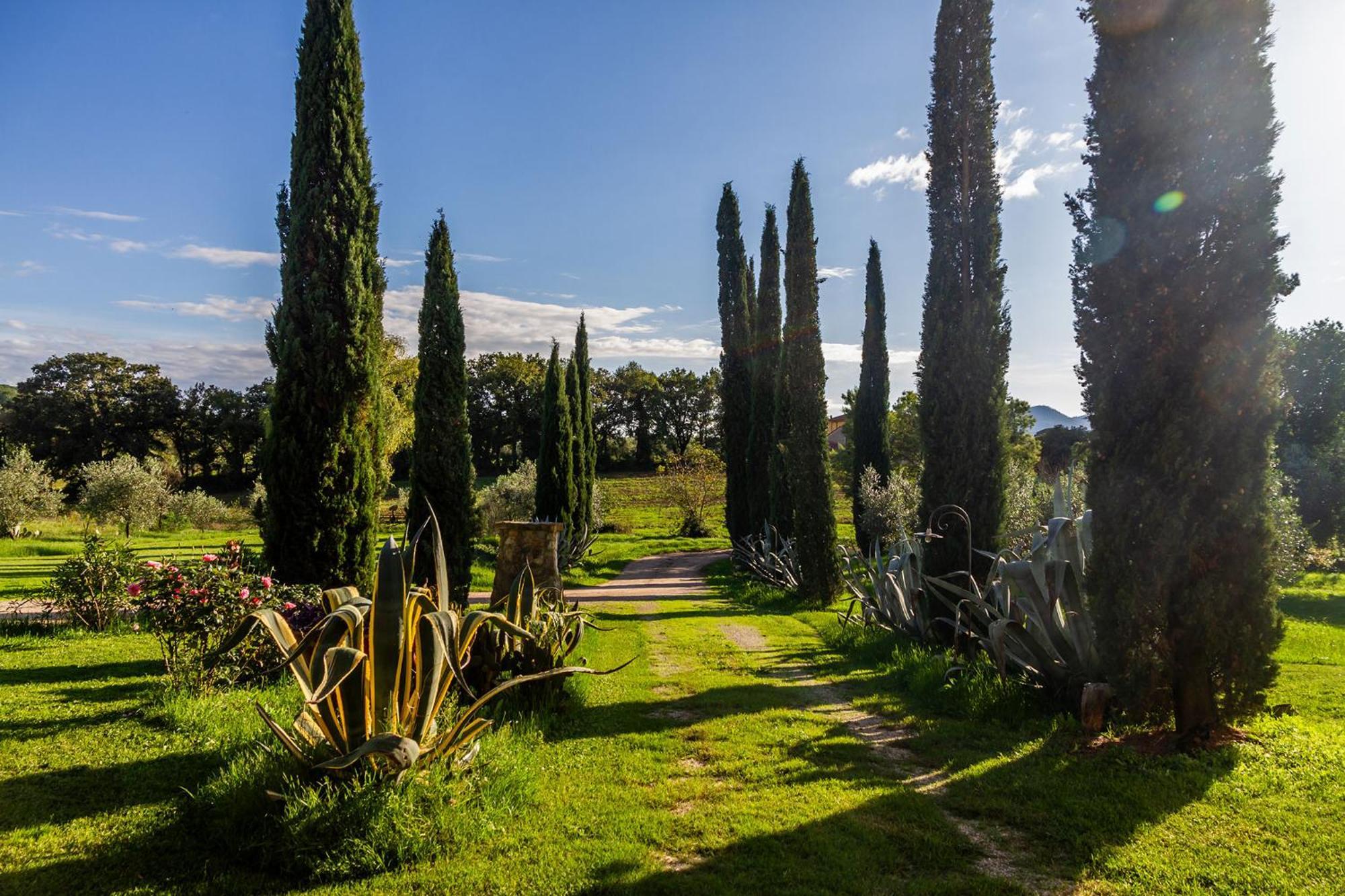 Agriturismo Bio Fattoria Casetta Gavorrano Eksteriør billede