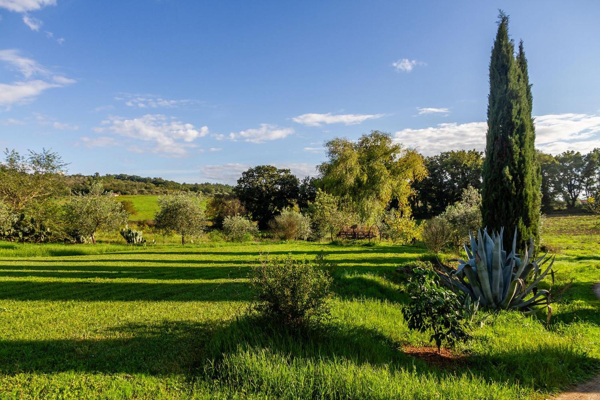 Agriturismo Bio Fattoria Casetta Gavorrano Eksteriør billede