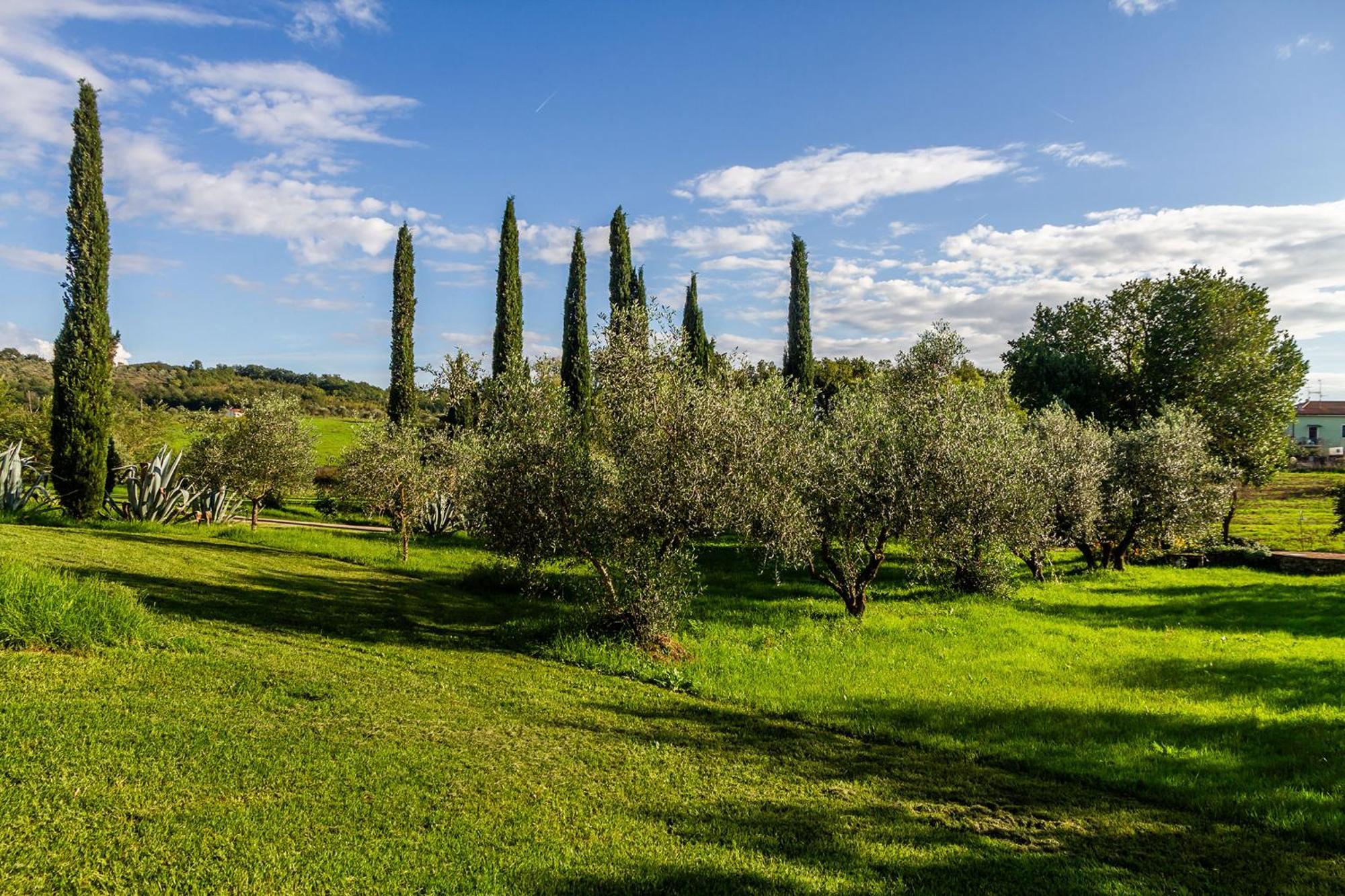 Agriturismo Bio Fattoria Casetta Gavorrano Eksteriør billede