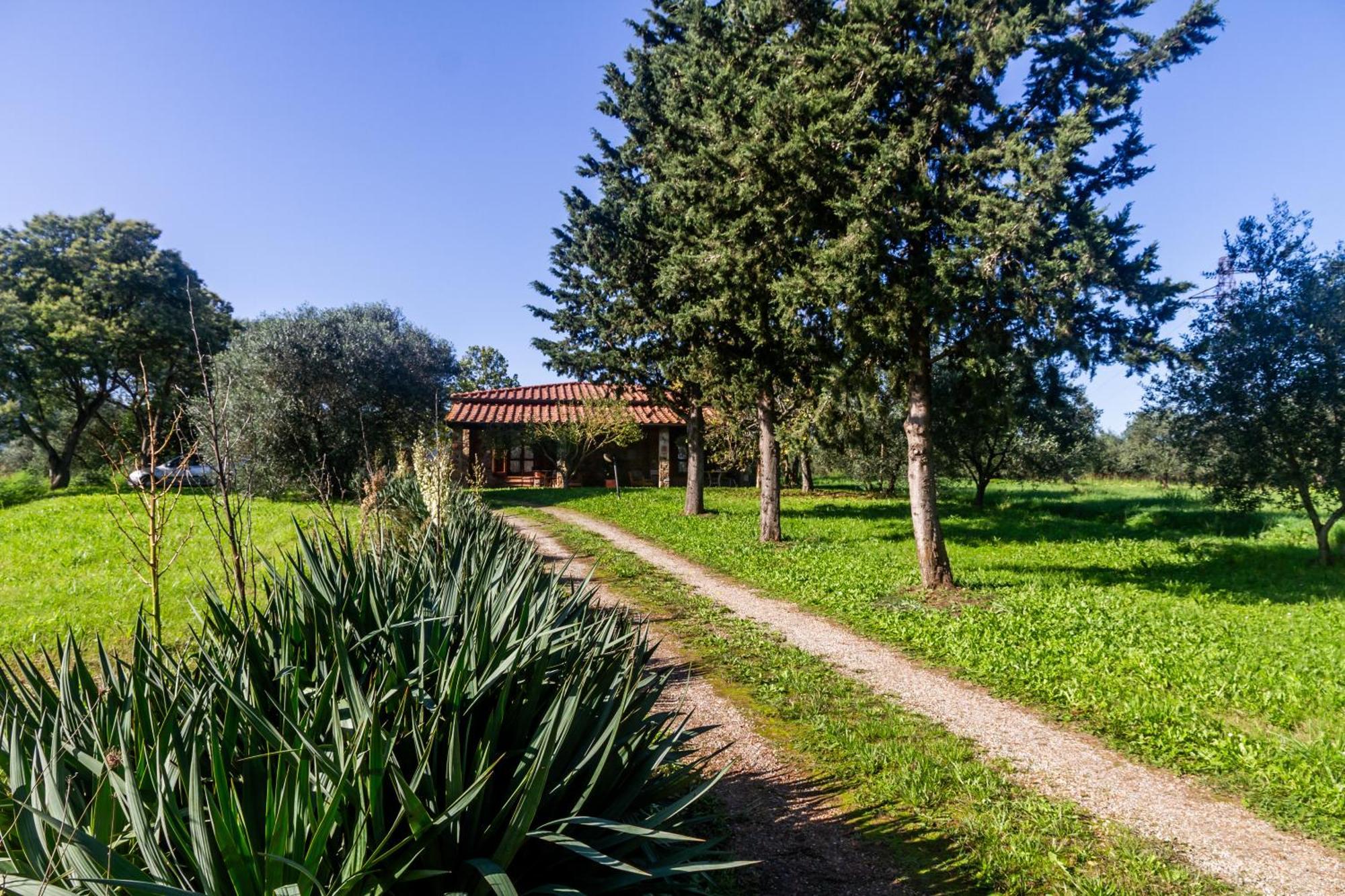 Agriturismo Bio Fattoria Casetta Gavorrano Eksteriør billede